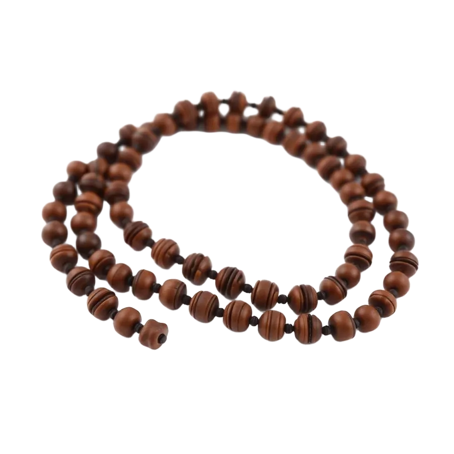 Rudraksha
